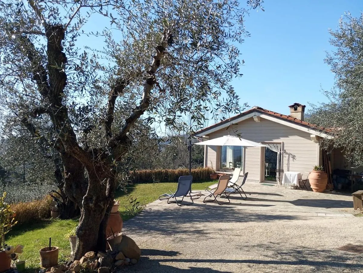 Oliveto Tuscany Massa e Cozzile