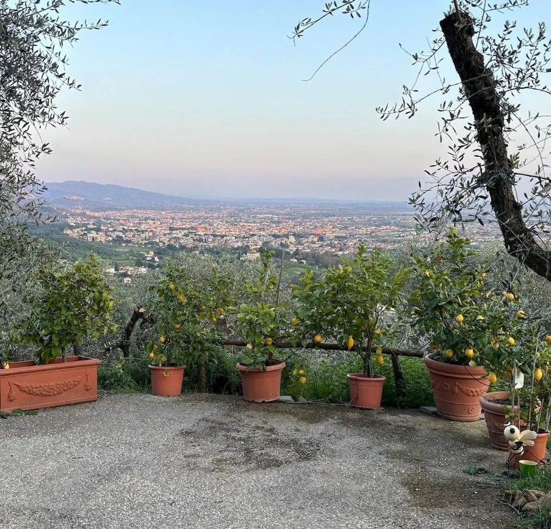 Holiday home Oliveto Tuscany Massa e Cozzile