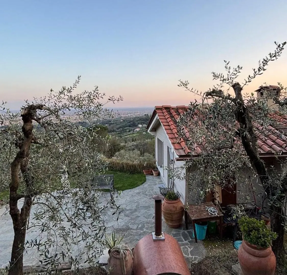 Oliveto Tuscany Massa e Cozzile 0*,