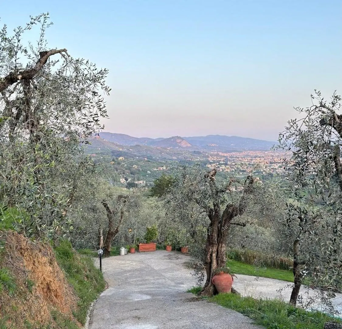 Oliveto Tuscany Massa e Cozzile Holiday home