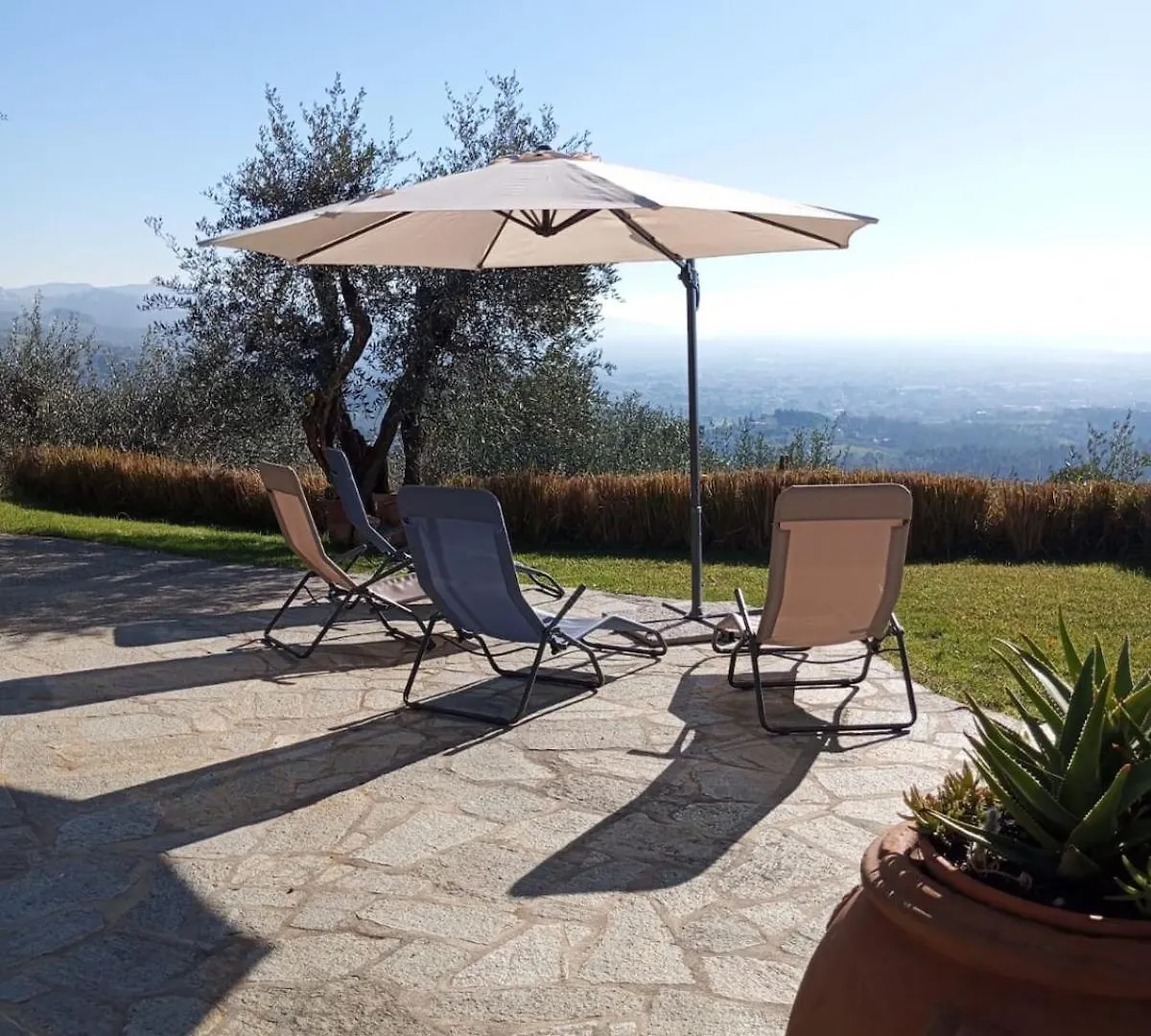 Oliveto Tuscany Massa e Cozzile